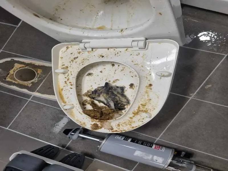 은평구 변기막힘 작업사례 3