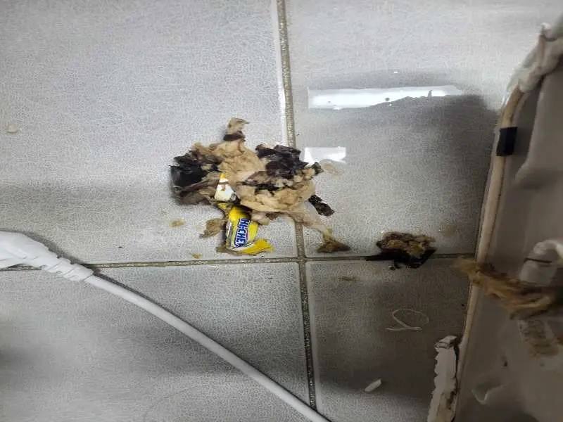 은평구 배관 이물질 제거 사례 3